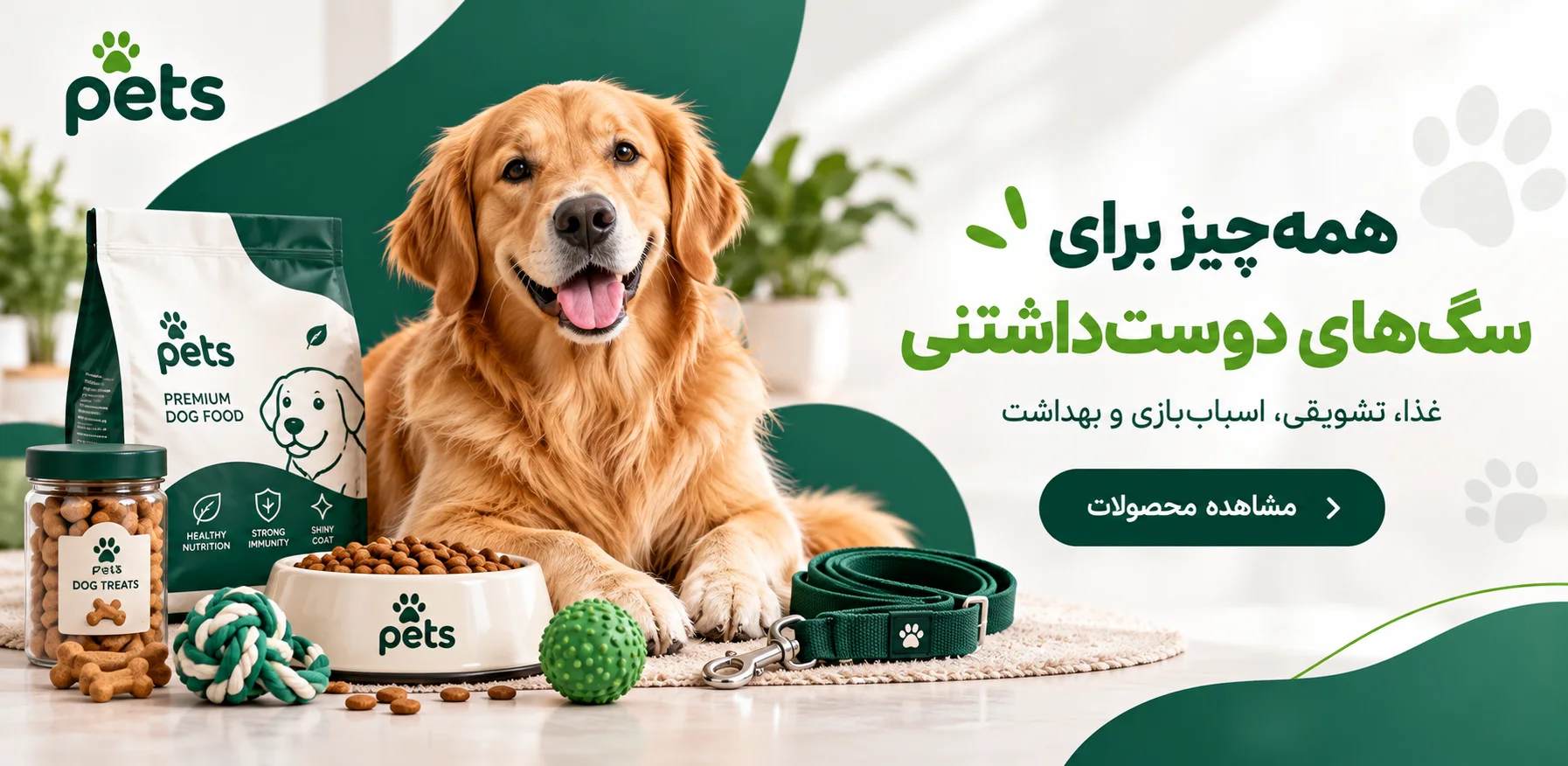 صفحه اصلی
