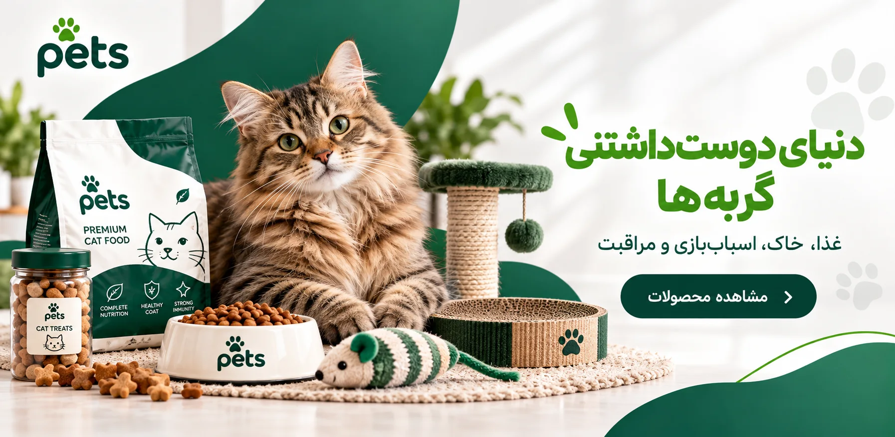 صفحه اصلی