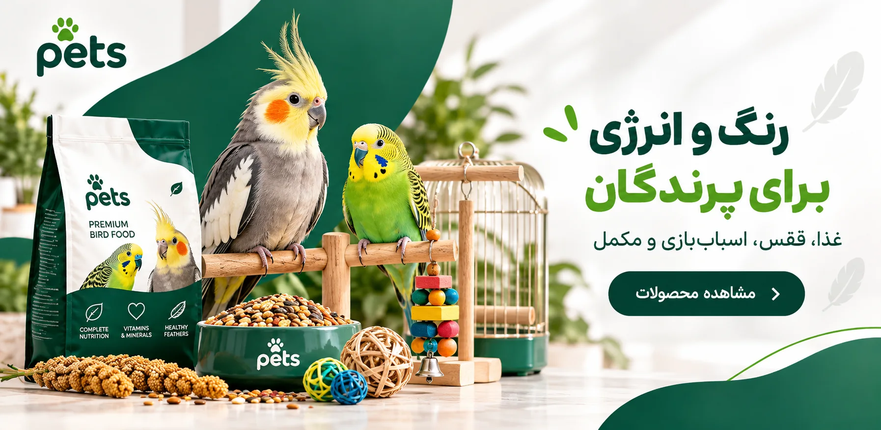 صفحه اصلی